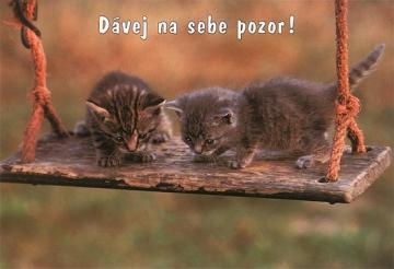99d8b10353ad35136b8d8e69076cbae7_A.jpg